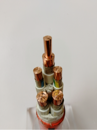 ���ߵ�����������