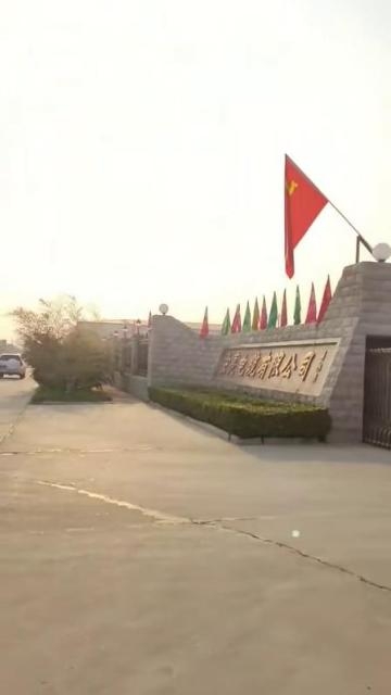 w98���Ź��ʵ���ѡ��������ͭ