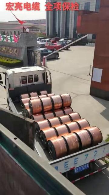 w98���Ź��ʵ��� ������ͭ