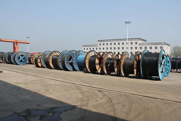 w98���Ź��ʵ��¼Ӵ��������  ��ǿ������������