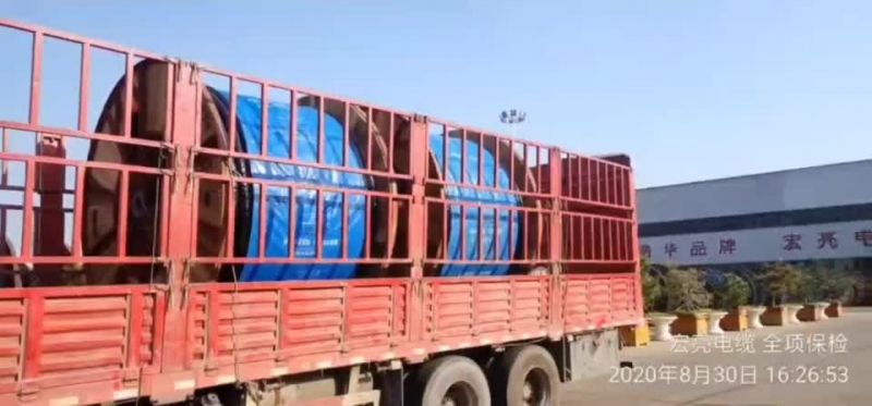 w98���Ź��ʵ��£�ȫ��죬�ൺ����