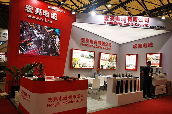 2020�ھŽ��й��������¼��߲�չ���ᣬw98���Ź��ʵ����ڴ�����ݰ��