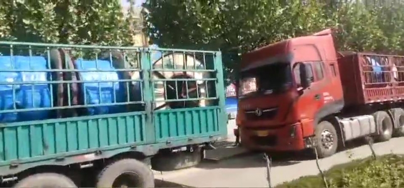 w98���Ź��ʵ���10kv��ѹ���·�����̨