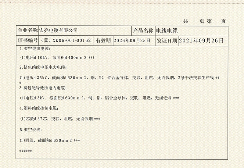 w98���Ź��ʵ�����������֤����